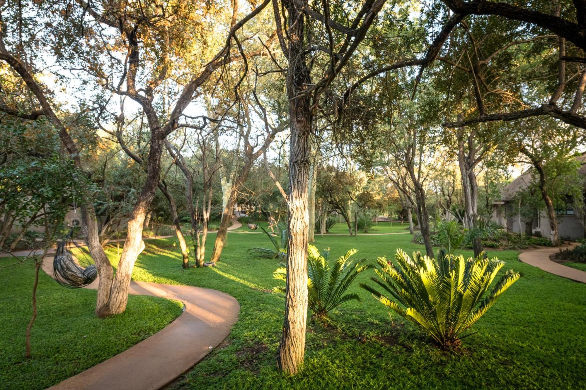 Serondella Safari Lodge Thornybush vadrezervátum Kültér fotó