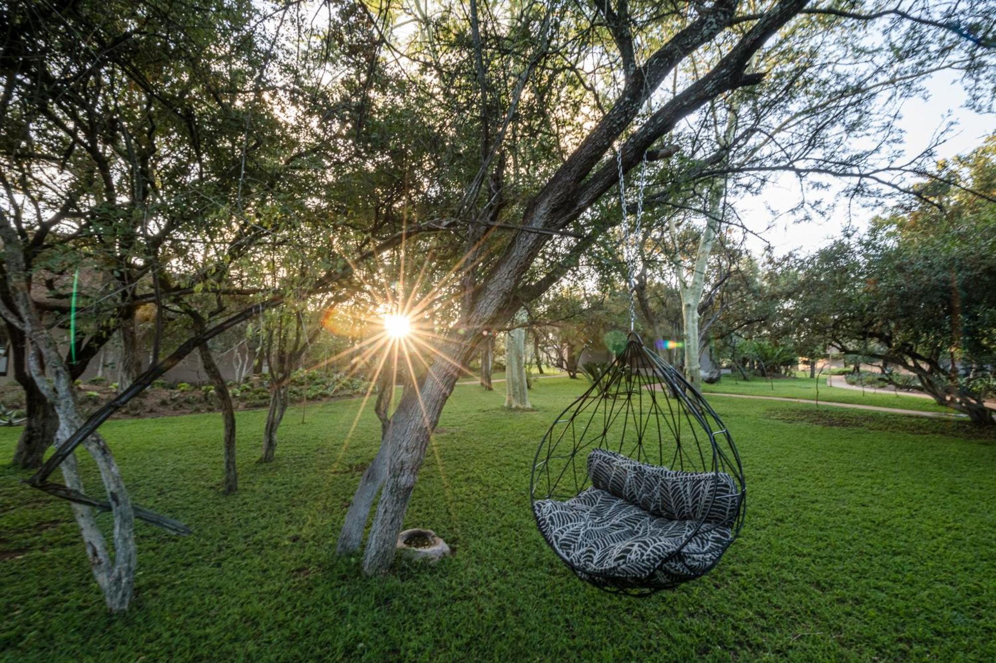 Serondella Safari Lodge Thornybush vadrezervátum Kültér fotó