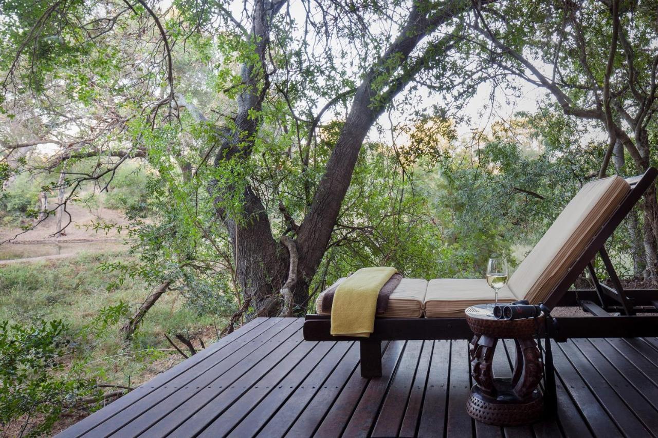 Serondella Safari Lodge Thornybush vadrezervátum Kültér fotó