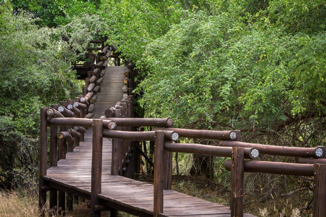 Serondella Safari Lodge Thornybush vadrezervátum Kültér fotó